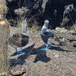 Photo taken by Vinay K