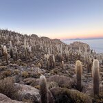 Photo taken by Shirley S