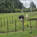 Photo taken by Thao T