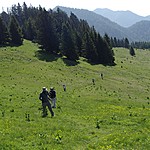 Photo taken by Shree L