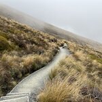 Photo taken by Joan B