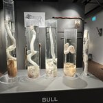 Photo taken by Lauri F