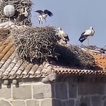 Photo taken by Marcia B