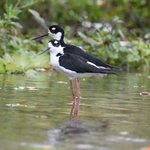 Photo taken by Graeme W