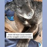 Photo taken by Gerald L