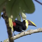 Photo taken by Joyce C