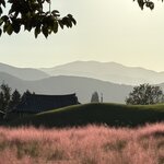 Photo taken by Anne-Marie C