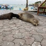 Photo taken by Kayla H