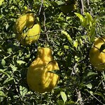 Photo taken by Martha D