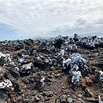 Photo taken by Meggan M