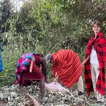 Photo taken by Julien C