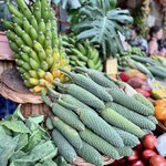 Photo taken by Mindy H