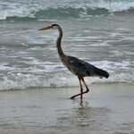 Photo taken by Debby D