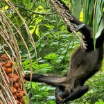 Photo taken by Peter F