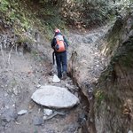 Photo taken by Graham W