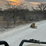 Photo taken by Nigel R