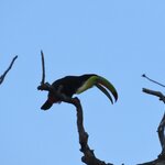 Photo taken by Wilbert A