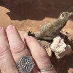 Photo taken by Thomas R