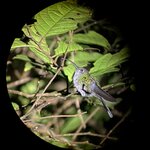 Photo taken by Anna L