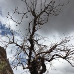 Photo taken by alton r