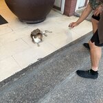 Photo taken by Marie B