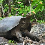 Photo taken by Patricia D