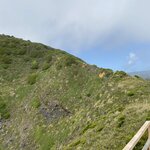 Photo taken by Mike C