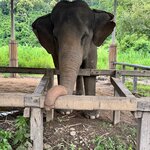 Photo taken by Jose C