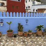 Photo taken by Jackie O