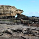 Photo taken by Natascia V