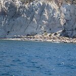 Photo taken by Dianne T