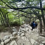 Photo taken by Donna R