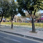 Photo taken by Bailey W