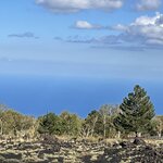 Photo taken by Cecilia M