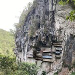 Photo taken by Alison R