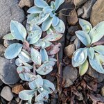 Photo taken by Debbie B