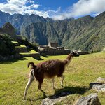 Photo taken by RyanandLisa M