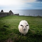 Photo taken by James K