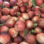 Photo taken by Amanda F