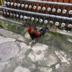 Photo taken by Kim D