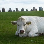 Photo taken by Eric T