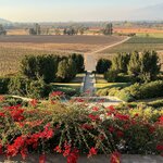 Photo taken by Daphne P