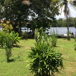 Photo taken by Cassio S