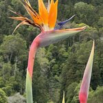 Photo taken by Catherine H