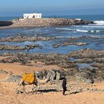 Photo taken by Jen R