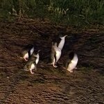 Photo taken by Kaitlin J