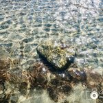 Photo taken by Aaron L