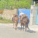 Photo taken by Christine R