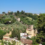 Photo taken by Diane H