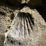 Photo taken by Linda F